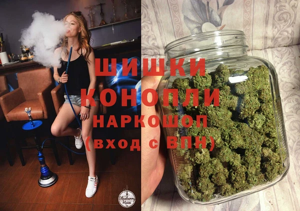 ECSTASY Богородицк